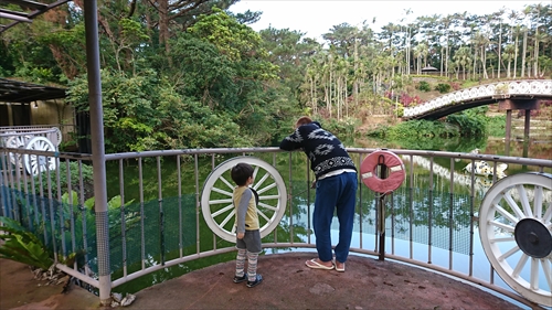 10日・東南植物楽園の光の散歩道！